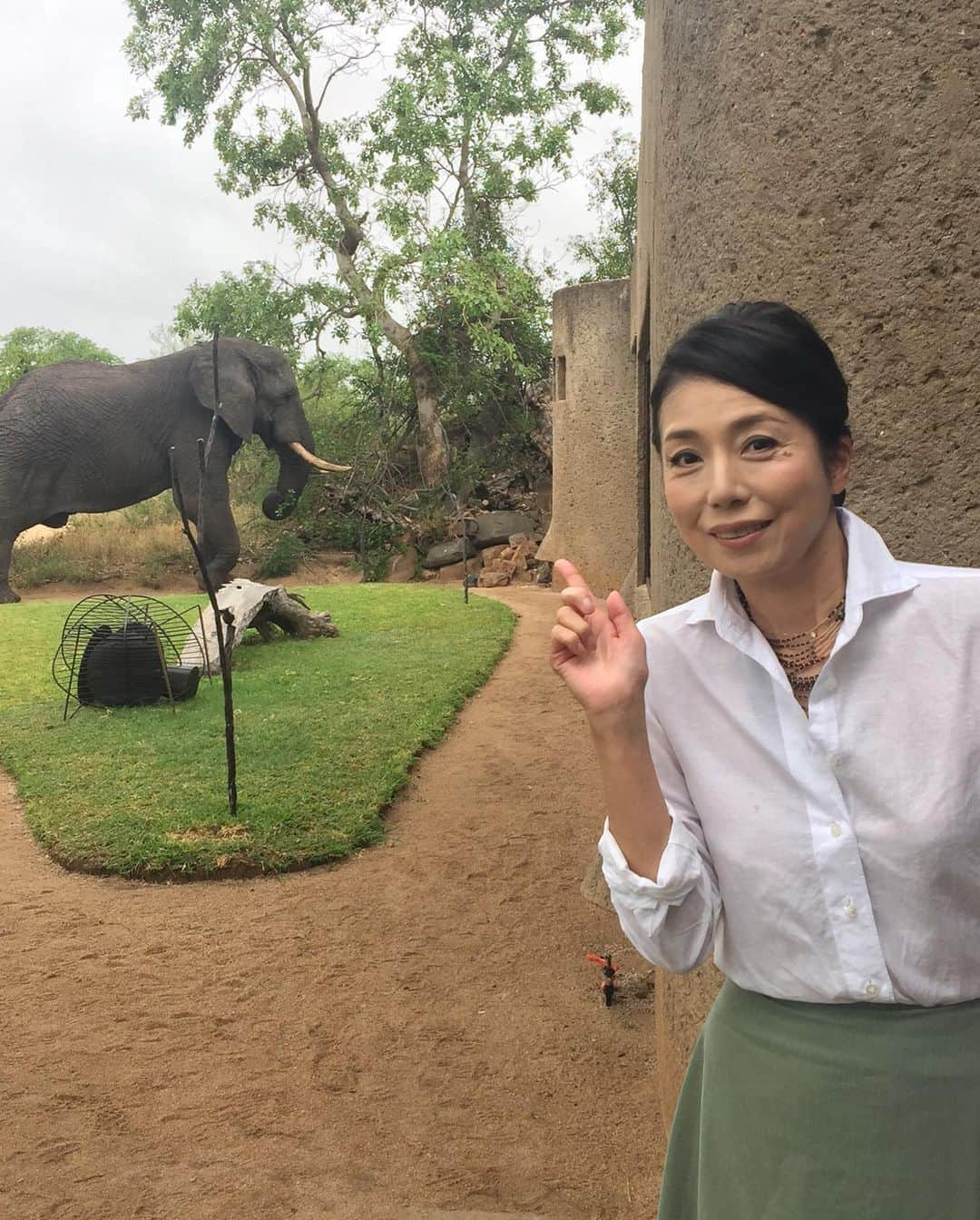 高橋ひとみのインスタグラム：「明日、10月7日(土)朝8時〜朝日放送系列 「朝だ！生です旅サラダ」の海外の旅コーナーで南アフリカ共和国が特集されます🇿🇦 是非、ご覧ください❣️  今回は私は南アフリカ🇿🇦には行けなかったのですが、写真は以前、雑誌の撮影で南アフリカ🇿🇦を訪れた時のものです🐘　　　 （明日の旅サラダには出演しておりません）  また、南アフリカに行きたいです🦒  2015年から南アフリカ観光親善大使を務めさせていただいています。  @feel_south_africa_jp  #南アフリカ共和国  #南アフリカ観光局  #南アフリカ観光親善大使  #旅サラダ」