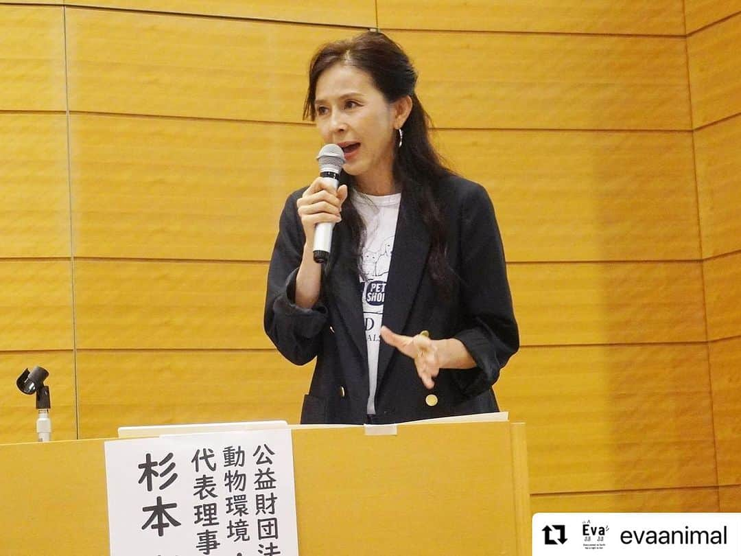 杉本彩さんのインスタグラム写真 - (杉本彩Instagram)「#Repost @evaanimal with @use.repost ・・・ 昨日、議員会館にて「改正動物愛護管理法を考えるシンポジウム2023」を開催いたしました。  本年8月から、超党派議員連盟による、動愛法改正に向けたプロジェクトチームの会議がスタートしました。 第一部では、緊急一時保護制度や、動物が期間限定の特設会場で販売される問題、また産業動物におけるアニマルウェルフェア、そして前回も十分な議論がされないまま、改正に至ってしまった動物実験代替法や実験動物の問題についてお話しいただきました。  #改正動物愛護管理法を考えるシンポジウム2023 #動物愛護管理法 #動愛法改正 #動物環境福祉協会eva #Evaシンポ #杉本彩」10月6日 21時35分 - sugimoto_aya0719