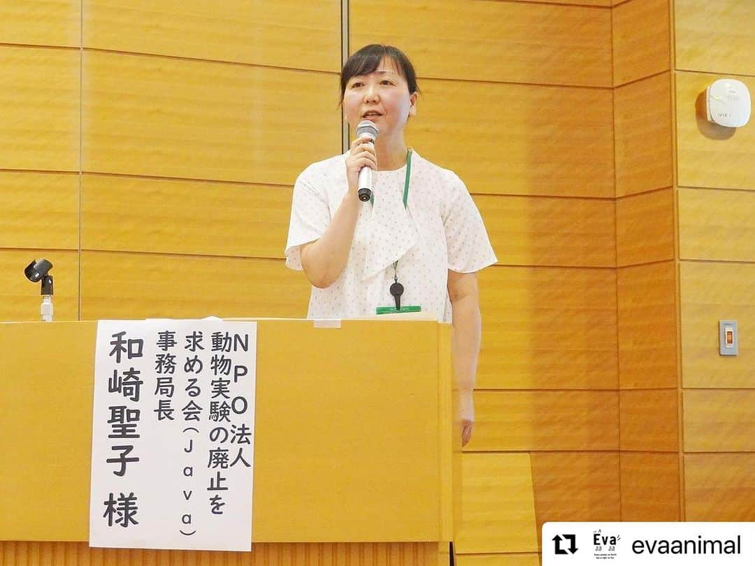 杉本彩さんのインスタグラム写真 - (杉本彩Instagram)「#Repost @evaanimal with @use.repost ・・・ 昨日、議員会館にて「改正動物愛護管理法を考えるシンポジウム2023」を開催いたしました。  本年8月から、超党派議員連盟による、動愛法改正に向けたプロジェクトチームの会議がスタートしました。 第一部では、緊急一時保護制度や、動物が期間限定の特設会場で販売される問題、また産業動物におけるアニマルウェルフェア、そして前回も十分な議論がされないまま、改正に至ってしまった動物実験代替法や実験動物の問題についてお話しいただきました。  #改正動物愛護管理法を考えるシンポジウム2023 #動物愛護管理法 #動愛法改正 #動物環境福祉協会eva #Evaシンポ #杉本彩」10月6日 21時35分 - sugimoto_aya0719