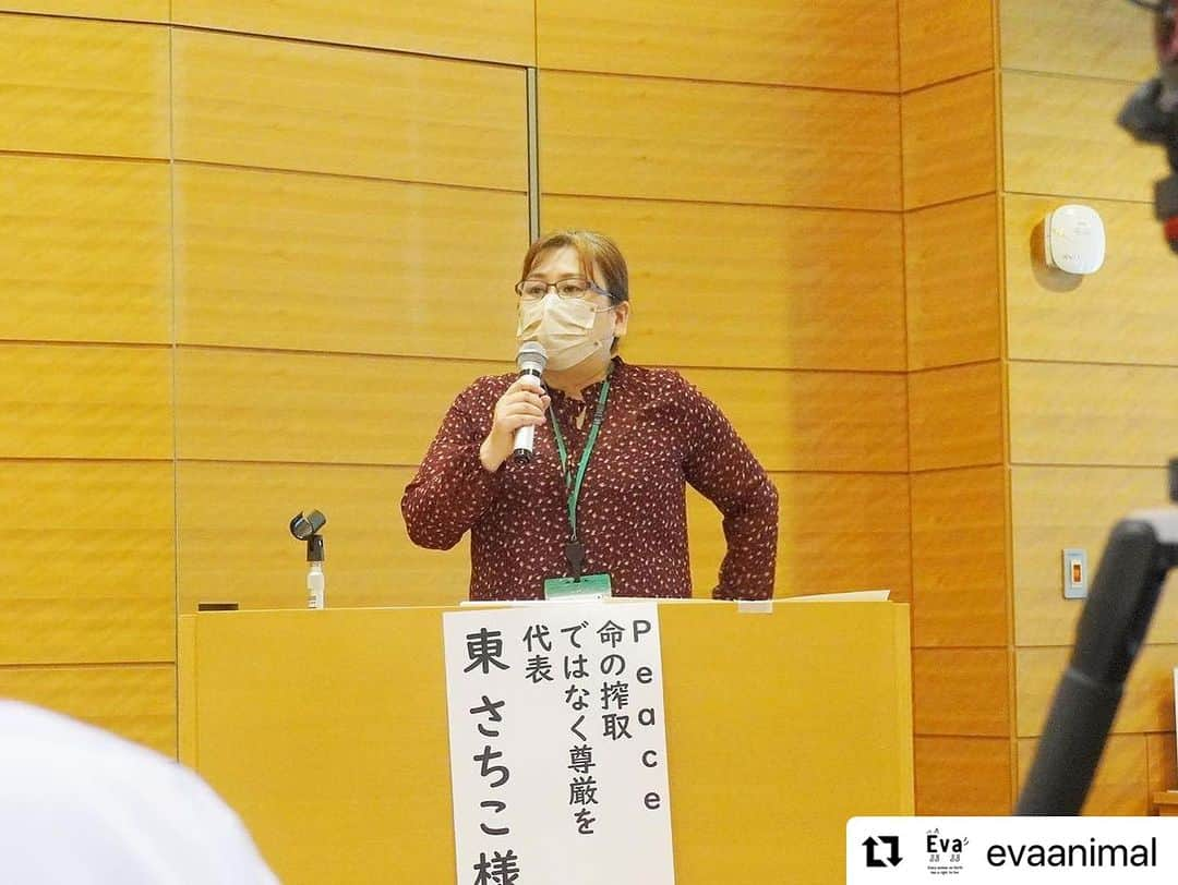 杉本彩さんのインスタグラム写真 - (杉本彩Instagram)「#Repost @evaanimal with @use.repost ・・・ 昨日、議員会館にて「改正動物愛護管理法を考えるシンポジウム2023」を開催いたしました。  本年8月から、超党派議員連盟による、動愛法改正に向けたプロジェクトチームの会議がスタートしました。 第一部では、緊急一時保護制度や、動物が期間限定の特設会場で販売される問題、また産業動物におけるアニマルウェルフェア、そして前回も十分な議論がされないまま、改正に至ってしまった動物実験代替法や実験動物の問題についてお話しいただきました。  #改正動物愛護管理法を考えるシンポジウム2023 #動物愛護管理法 #動愛法改正 #動物環境福祉協会eva #Evaシンポ #杉本彩」10月6日 21時35分 - sugimoto_aya0719