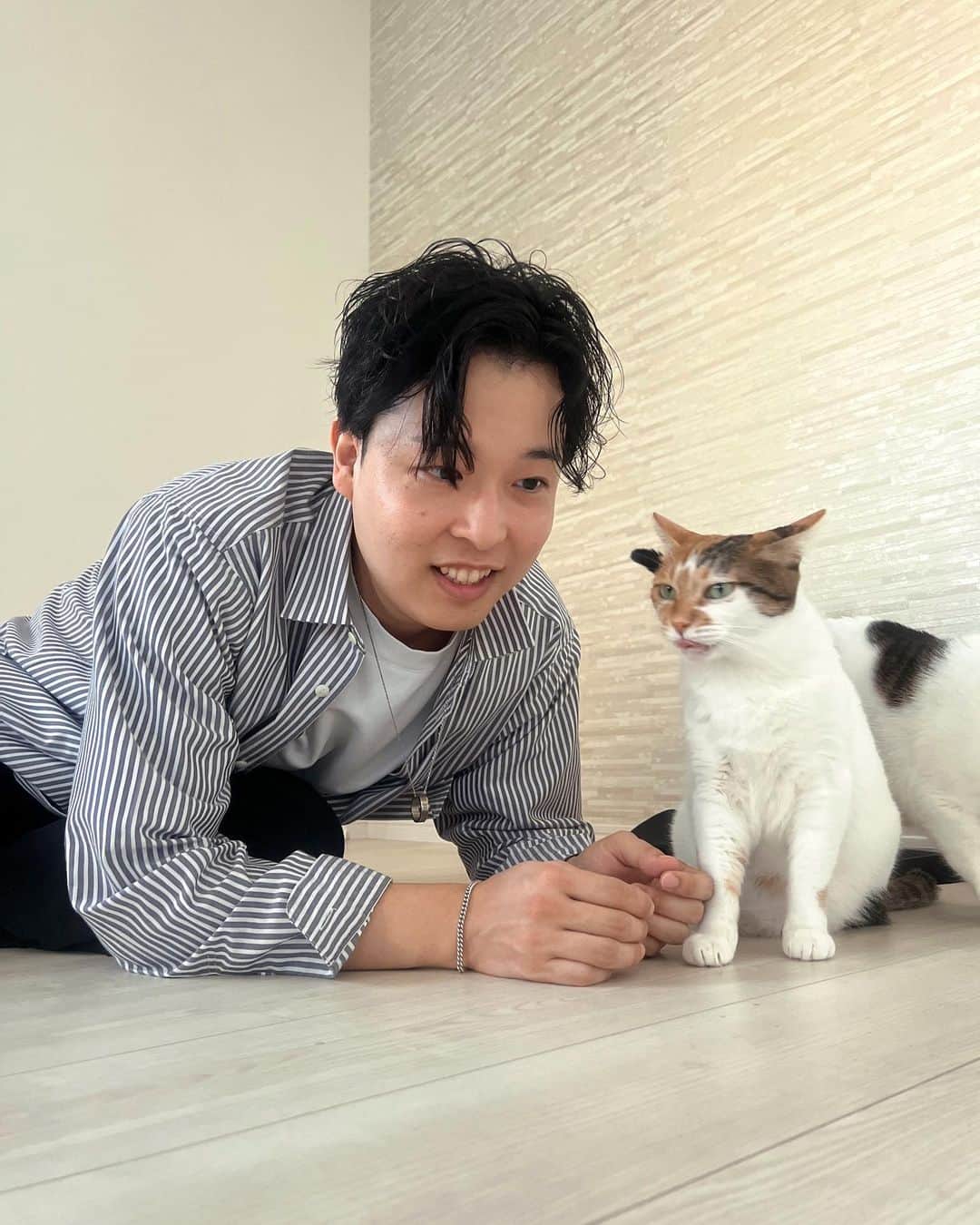 渋谷ジャパンのインスタグラム：「家に帰ったらすぐ猫  #猫 #猫のいる暮らし #保護猫」