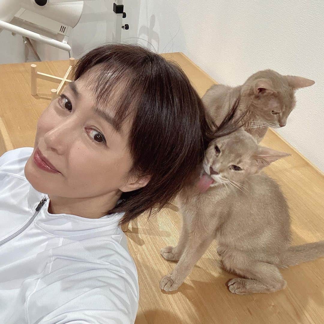 のインスタグラム：「毛繕いしてくれる🐈 大きな仲間🐈‍⬛と思ってるんだろうな 光栄です😸✨  #猫のいる暮らし  #仲間 #くつろぎ時間」