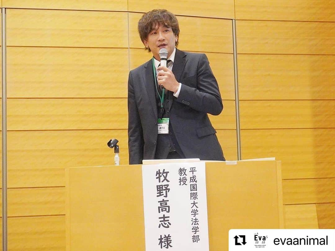 杉本彩さんのインスタグラム写真 - (杉本彩Instagram)「#Repost @evaanimal with @use.repost ・・・ また第二部では、幼齢動物の販売問題と法律がきちんと運用されていない現状について。更に、法律面からみた緊急一時保護制度や犬猫展示販売規制など、法改正に向けそれぞれが抱える問題点を洗い出し、現実的かつ実効的な法改正にするためには、どうしたらよいのか、それぞれの視点から語って頂きました。  会の途中では、お越しいただいた国会議員の皆様に、法改正に向けての心強いメッセージをいただきました。動物愛護管理法は議員立法ですので、ご尽力のほどどうぞよろしくお願いいたします！ そして平日の午後にも関わらず、たくさんの方にご来場いただきました。心より御礼申し上げます。誠にありがとうございました！  #改正動物愛護管理法を考えるシンポジウム2023 #動物愛護管理法 #動愛法改正 #動物環境福祉協会eva #Evaシンポ #杉本彩」10月6日 21時42分 - sugimoto_aya0719