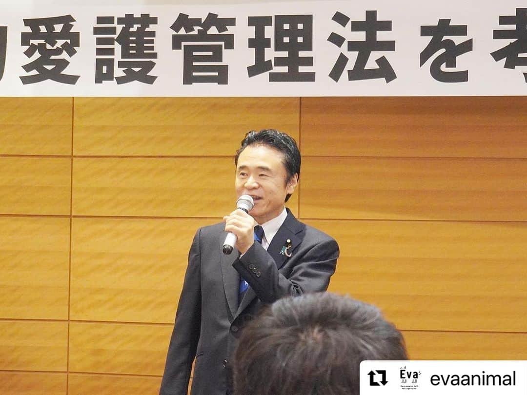 杉本彩さんのインスタグラム写真 - (杉本彩Instagram)「#Repost @evaanimal with @use.repost ・・・ また第二部では、幼齢動物の販売問題と法律がきちんと運用されていない現状について。更に、法律面からみた緊急一時保護制度や犬猫展示販売規制など、法改正に向けそれぞれが抱える問題点を洗い出し、現実的かつ実効的な法改正にするためには、どうしたらよいのか、それぞれの視点から語って頂きました。  会の途中では、お越しいただいた国会議員の皆様に、法改正に向けての心強いメッセージをいただきました。動物愛護管理法は議員立法ですので、ご尽力のほどどうぞよろしくお願いいたします！ そして平日の午後にも関わらず、たくさんの方にご来場いただきました。心より御礼申し上げます。誠にありがとうございました！  #改正動物愛護管理法を考えるシンポジウム2023 #動物愛護管理法 #動愛法改正 #動物環境福祉協会eva #Evaシンポ #杉本彩」10月6日 21時42分 - sugimoto_aya0719