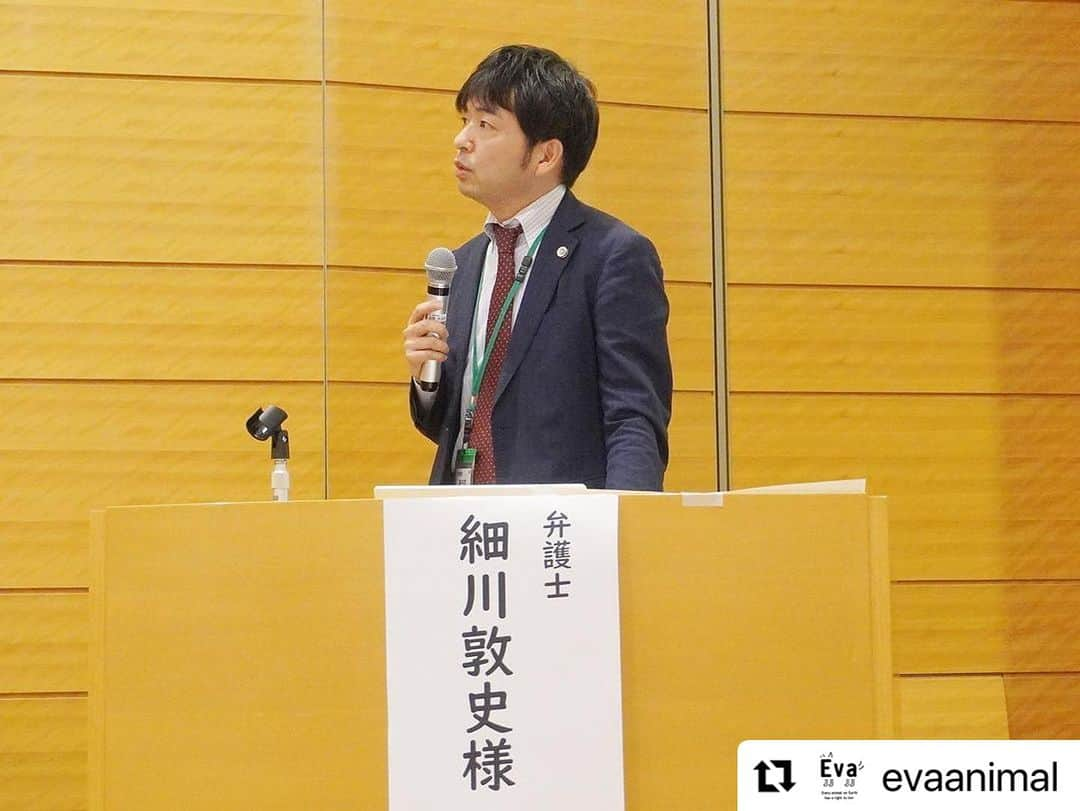 杉本彩さんのインスタグラム写真 - (杉本彩Instagram)「#Repost @evaanimal with @use.repost ・・・ また第二部では、幼齢動物の販売問題と法律がきちんと運用されていない現状について。更に、法律面からみた緊急一時保護制度や犬猫展示販売規制など、法改正に向けそれぞれが抱える問題点を洗い出し、現実的かつ実効的な法改正にするためには、どうしたらよいのか、それぞれの視点から語って頂きました。  会の途中では、お越しいただいた国会議員の皆様に、法改正に向けての心強いメッセージをいただきました。動物愛護管理法は議員立法ですので、ご尽力のほどどうぞよろしくお願いいたします！ そして平日の午後にも関わらず、たくさんの方にご来場いただきました。心より御礼申し上げます。誠にありがとうございました！  #改正動物愛護管理法を考えるシンポジウム2023 #動物愛護管理法 #動愛法改正 #動物環境福祉協会eva #Evaシンポ #杉本彩」10月6日 21時42分 - sugimoto_aya0719