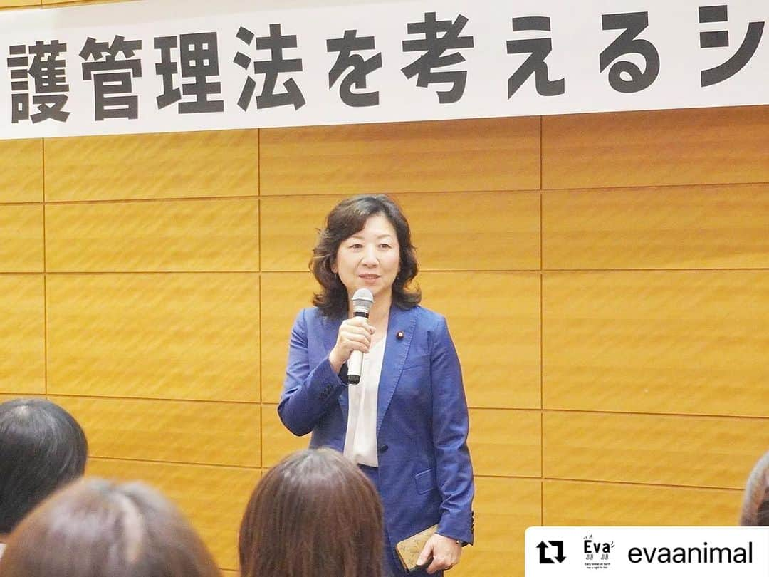 杉本彩さんのインスタグラム写真 - (杉本彩Instagram)「#Repost @evaanimal with @use.repost ・・・ また第二部では、幼齢動物の販売問題と法律がきちんと運用されていない現状について。更に、法律面からみた緊急一時保護制度や犬猫展示販売規制など、法改正に向けそれぞれが抱える問題点を洗い出し、現実的かつ実効的な法改正にするためには、どうしたらよいのか、それぞれの視点から語って頂きました。  会の途中では、お越しいただいた国会議員の皆様に、法改正に向けての心強いメッセージをいただきました。動物愛護管理法は議員立法ですので、ご尽力のほどどうぞよろしくお願いいたします！ そして平日の午後にも関わらず、たくさんの方にご来場いただきました。心より御礼申し上げます。誠にありがとうございました！  #改正動物愛護管理法を考えるシンポジウム2023 #動物愛護管理法 #動愛法改正 #動物環境福祉協会eva #Evaシンポ #杉本彩」10月6日 21時42分 - sugimoto_aya0719