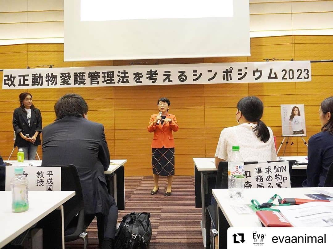 杉本彩さんのインスタグラム写真 - (杉本彩Instagram)「#Repost @evaanimal with @use.repost ・・・ また第二部では、幼齢動物の販売問題と法律がきちんと運用されていない現状について。更に、法律面からみた緊急一時保護制度や犬猫展示販売規制など、法改正に向けそれぞれが抱える問題点を洗い出し、現実的かつ実効的な法改正にするためには、どうしたらよいのか、それぞれの視点から語って頂きました。  会の途中では、お越しいただいた国会議員の皆様に、法改正に向けての心強いメッセージをいただきました。動物愛護管理法は議員立法ですので、ご尽力のほどどうぞよろしくお願いいたします！ そして平日の午後にも関わらず、たくさんの方にご来場いただきました。心より御礼申し上げます。誠にありがとうございました！  #改正動物愛護管理法を考えるシンポジウム2023 #動物愛護管理法 #動愛法改正 #動物環境福祉協会eva #Evaシンポ #杉本彩」10月6日 21時42分 - sugimoto_aya0719