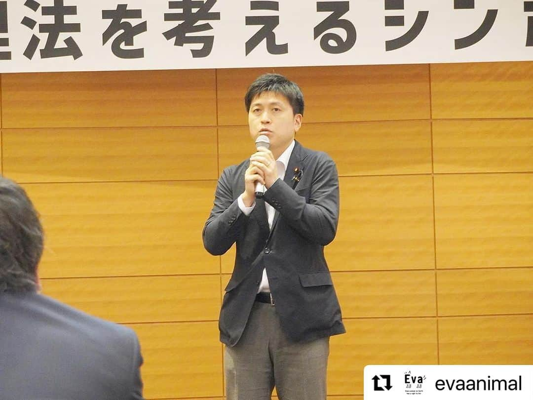 杉本彩さんのインスタグラム写真 - (杉本彩Instagram)「#Repost @evaanimal with @use.repost ・・・ また第二部では、幼齢動物の販売問題と法律がきちんと運用されていない現状について。更に、法律面からみた緊急一時保護制度や犬猫展示販売規制など、法改正に向けそれぞれが抱える問題点を洗い出し、現実的かつ実効的な法改正にするためには、どうしたらよいのか、それぞれの視点から語って頂きました。  会の途中では、お越しいただいた国会議員の皆様に、法改正に向けての心強いメッセージをいただきました。動物愛護管理法は議員立法ですので、ご尽力のほどどうぞよろしくお願いいたします！ そして平日の午後にも関わらず、たくさんの方にご来場いただきました。心より御礼申し上げます。誠にありがとうございました！  #改正動物愛護管理法を考えるシンポジウム2023 #動物愛護管理法 #動愛法改正 #動物環境福祉協会eva #Evaシンポ #杉本彩」10月6日 21時42分 - sugimoto_aya0719