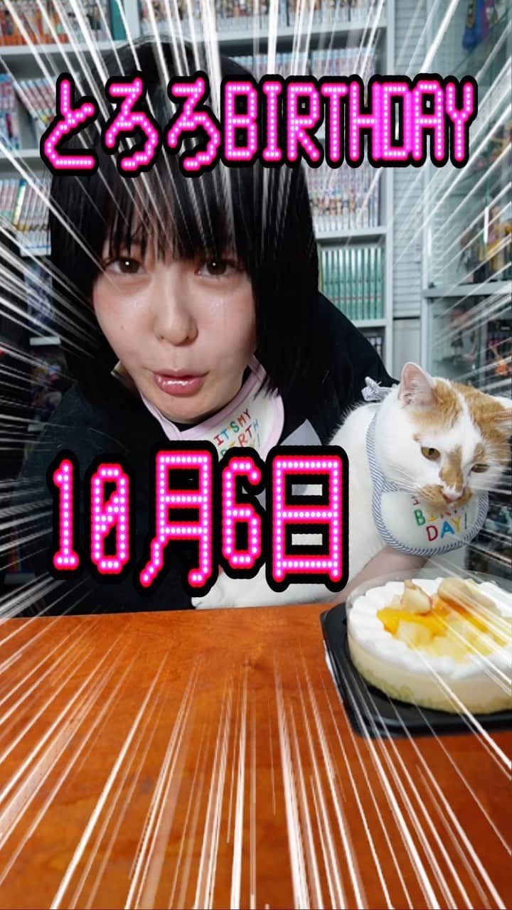 神堂きょうかのインスタグラム：「【愛するとろろが誕生日を迎えたので、私が猫用ケーキを食べてみました。】#検証#猫#猫ケーキ」
