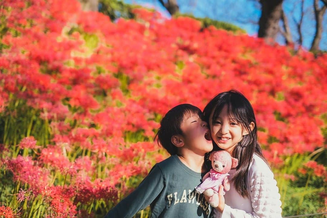 Ai.tのインスタグラム：「. まともに写ってくれる気がない昊也。 . . 毎年ここで撮るけど2人とも大きくなったな〜🥹 . . #9歳　#6歳」