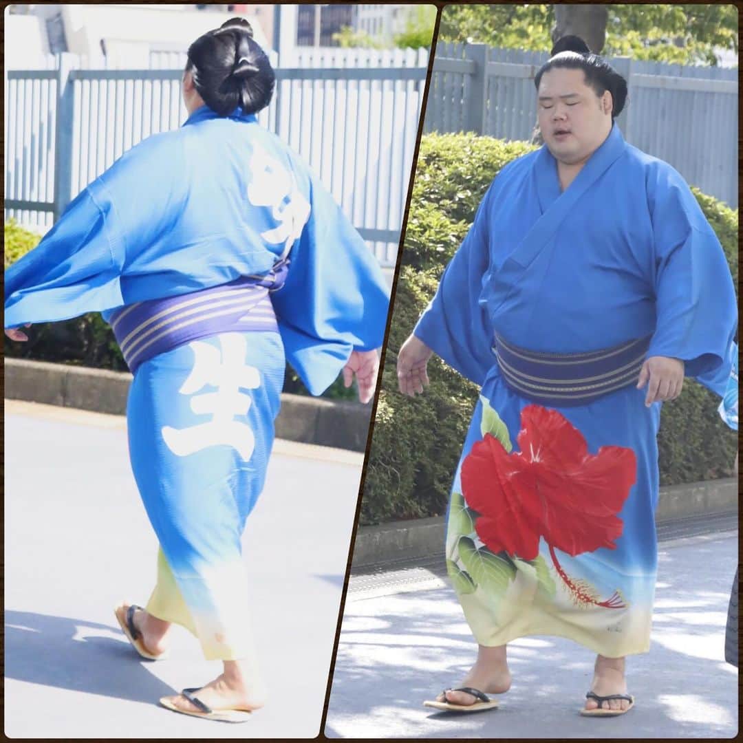 日本相撲協会さんのインスタグラム写真 - (日本相撲協会Instagram)「大相撲九月場所　着物紹介　場所入り　その2  着物で颯爽と歩く姿。 各々のこだわりが詰まった着物。 見ているとたくさんの発見があります。  背中の模様も合わせて、総勢64名分をお届け。 巡業でもたくさんの着物が見られる機会があります。 ぜひチェックしてみてください！  @sumokyokai #sumo #相撲 #佐田の海 #狼雅 #美ノ海 #碧山 #志摩ノ海 #時疾風 #明生 #白鷹山 #武将山 #錦木 #和服 #着物 #japan」10月6日 22時00分 - sumokyokai