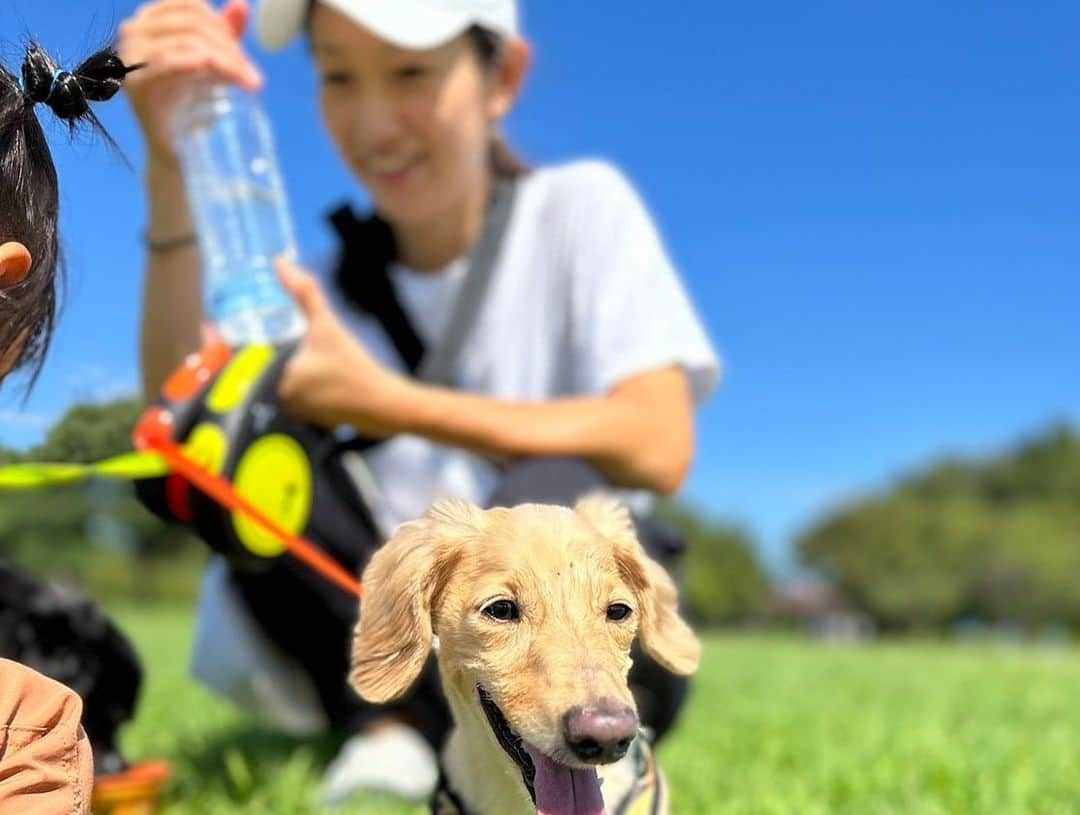 中里さや香さんのインスタグラム写真 - (中里さや香Instagram)「れなちゃんが撮ってくれた写真達📸  写真撮るのうまいんだよね〜笑😊✨  いつもありがとう💓  #写真#camera#犬#いぬのいる暮らし #アメリカンコッカースパニエル #ミニチュアダックスフンド#dog#女の子ママ #2歳」10月6日 22時37分 - sayakashi1217