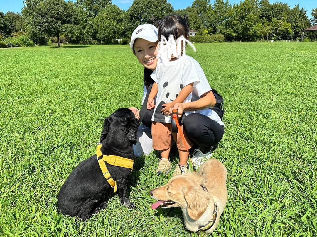 中里さや香のインスタグラム：「れなちゃんが撮ってくれた写真達📸  写真撮るのうまいんだよね〜笑😊✨  いつもありがとう💓  #写真#camera#犬#いぬのいる暮らし #アメリカンコッカースパニエル #ミニチュアダックスフンド#dog#女の子ママ #2歳」