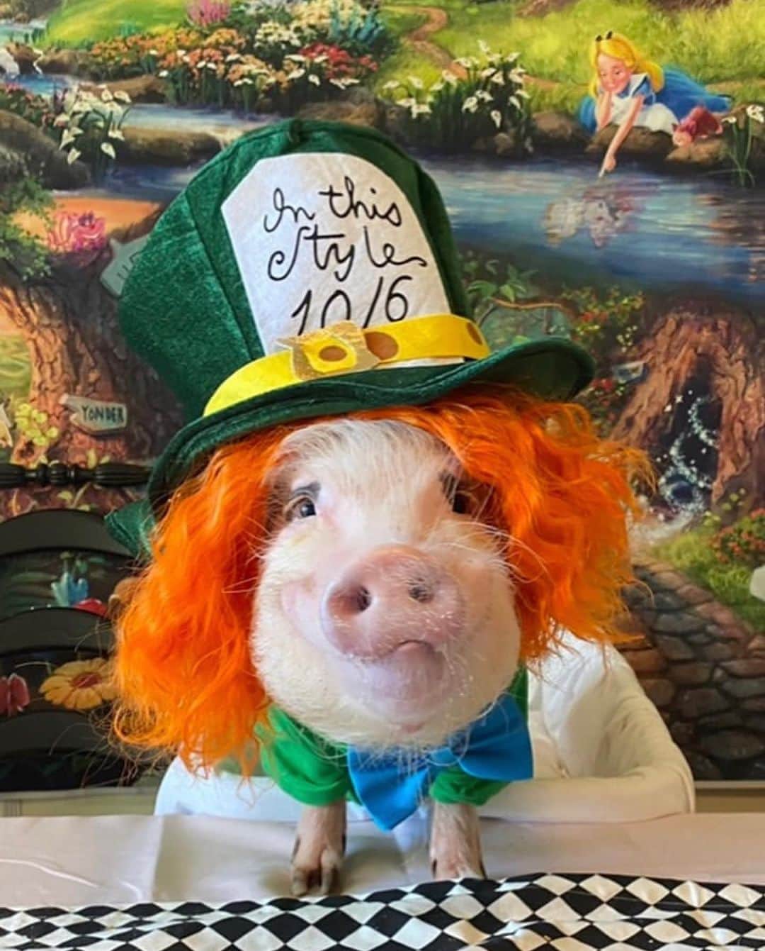 Priscilla and Poppletonのインスタグラム：「“You’re Entirely Bonkers,” Silly Pop! Happy #MadHatterDay!🎩🐷 #SillyPop #MadHatter #AliceinWonderland #PrissyandPop」