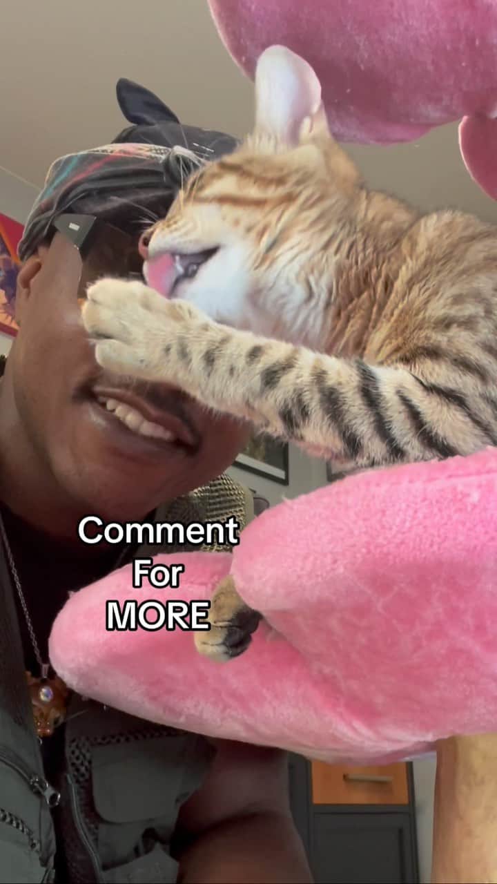 MSHO™(The Cat Rapper) のインスタグラム