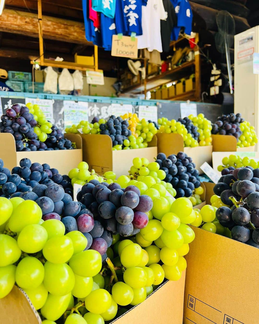 ツチと実のグルメインスタ