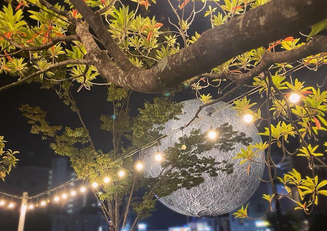 早瀬英里奈さんのインスタグラム写真 - (早瀬英里奈Instagram)「✰ 出演情報📢 ✰  『ムーンアートナイト下北沢2023』の写真と共に 来週の出演情報をお届けします🌕  10月11日（水）よる9時〜 TBS系列にて『ワールド極限ミステリー』  一級建築士・岩山健一氏が“過去一最悪”という 実際にあった欠陥住宅を再現ドラマ化 【悪徳建築業者VS住宅検査のプロ岩山氏】是非 ご覧下さい✵✵✵  予告映像はストーリーズにアップしたURLからご確認ください✮ ※地域によっては放送内容や放送時間が異なる場合がございます  11日がこの放送ではない地域や見逃してしまった方は 番組放送後にTVerで今回の放送を ご覧いただけます✧｡.:*  『ムーンアートナイト下北沢2023』へは 自分のハンドメイド作品の 月のチョーカーを着けて行ってきました🌙  沢山のアートに刺激を受けたので 私も久しぶりに何か作品を制作してみようと思います✵✵✵  #10月11日 #ワールド極限ミステリー #欠陥住宅 #岩山健一 さん #ムーンアートナイト下北沢 #2023 #チョーカー #ハンドメイド #作品制作  #早瀬英里奈 #erinahayase #erina」10月7日 0時53分 - erina.hayase