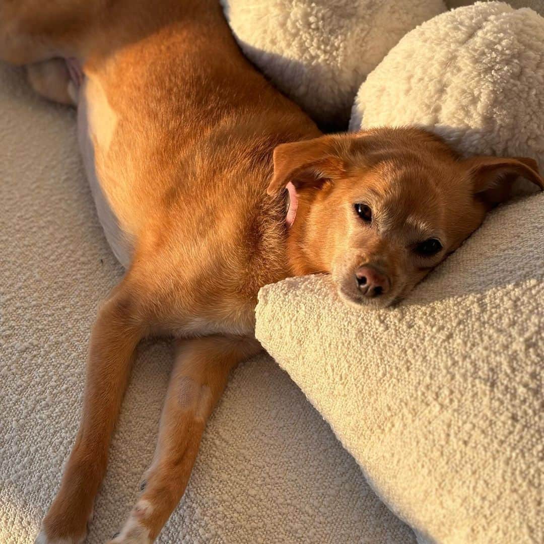 アリアナ・グランデさんのインスタグラム写真 - (アリアナ・グランデInstagram)「some from then,  some from now  ♡」10月7日 1時01分 - arianagrande