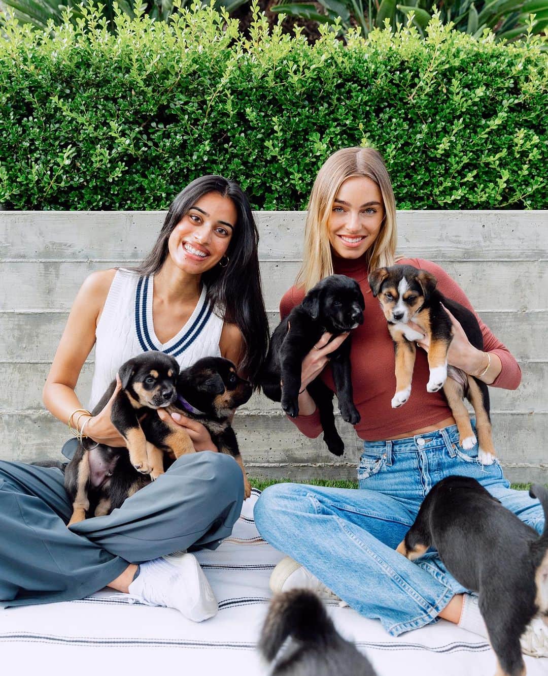 Elizabeth Turnerさんのインスタグラム写真 - (Elizabeth TurnerInstagram)「cutest pups available for adoption at @hitlivingfoundation 🤍🐶 #adoptdontshop」10月7日 2時26分 - elizabethcturner