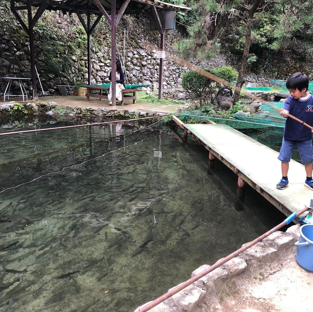 中野美奈子のインスタグラム：「少し前ですが、釣りブームがきた息子と一緒に愛媛県松山市の『せせらぎ亭』という釣り堀があるお食事処に行ってきました！  土日はかなり混むと聞いていたので、お昼は市内で軽く食べてオヤツタイムに参戦！（釣り堀は15時まで）  100円で餌付きの釣竿をもらって釣り堀初挑戦。 魚たちもエサだけうまく取ったり、かわしたり、なかなか釣れませんでしたが、それがまた楽しかった！  エサはエビとうどんでした😆 大人も参加して7匹ゲット。 釣った魚はその場で調理してもらえます。 いゃーこれが美味しくて美味しくて、7匹をオヤツにペロリ。もっと釣ってもよかった〜。 唐揚げは絶品でした♡  こどももおとなも大満足なショートトリップ。 自分で釣った魚だからか、ちゃんと食べてくれました。よかったよかった。  #釣り堀 #釣り堀のあるお店  #せせらぎ亭 #松山市  #愛媛県 #エサがうどん #子連れランチ   #中野美奈子  #わたしのサングラスかけたら、魚がよくみえたらしい #偏光サングラス  #金バクのアレですw」