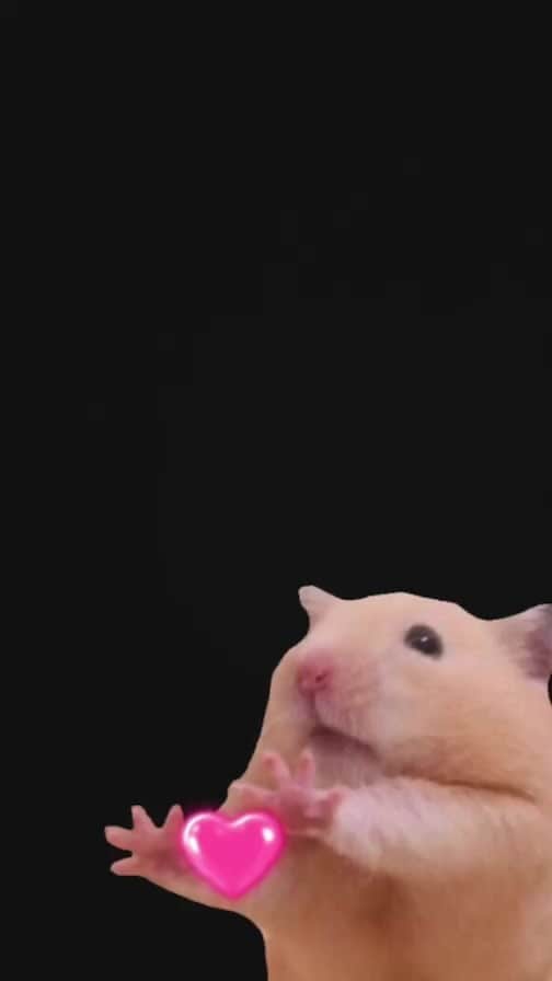 ふたばのインスタグラム