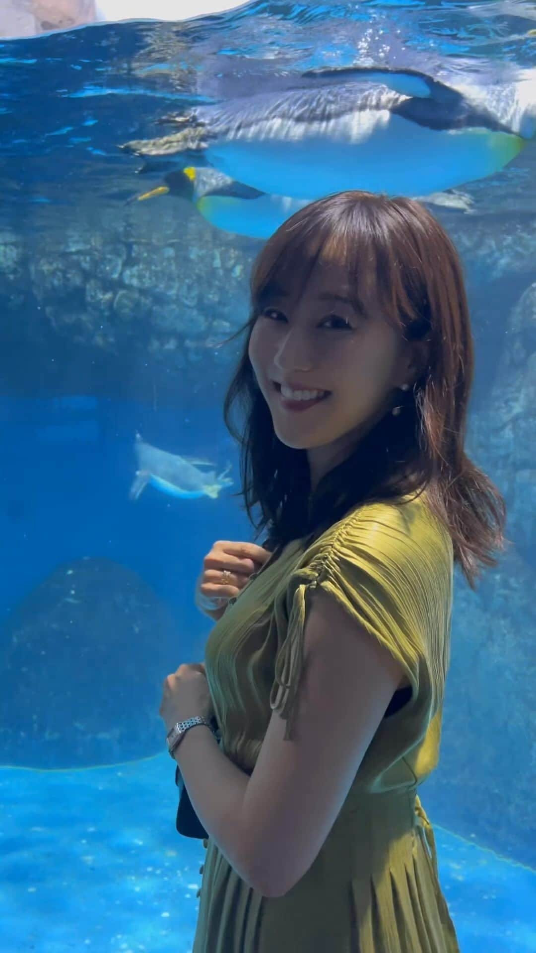 村上麻衣のインスタグラム：「初めて八景島シーパラダイスへ🐟🐧  イルカショーで気分が爆上がりました😆⤴︎⤴︎  たくさんの海の生き物たちをじーっとみていたら それぞれがとても美しくて、 地球とそこで生きるものたちの力を感じました。  10秒あたりの、イワシの群れをマンタが散らす映像 美しくないですか？✨  人間と同じように心臓があって血液がある生き物なのに、 水の中で生活できたりエラで呼吸できたり、 よく考えると不思議です。 . . . 三連休ですね。 皆さま色々お気をつけて、楽しまれてくださいね✨  #aquarium #アクアリウム  #水族館 #八景島シーパラダイス #水族館好きな人と繋がりたい #八景島 #横浜 #横浜観光 #yokohama」