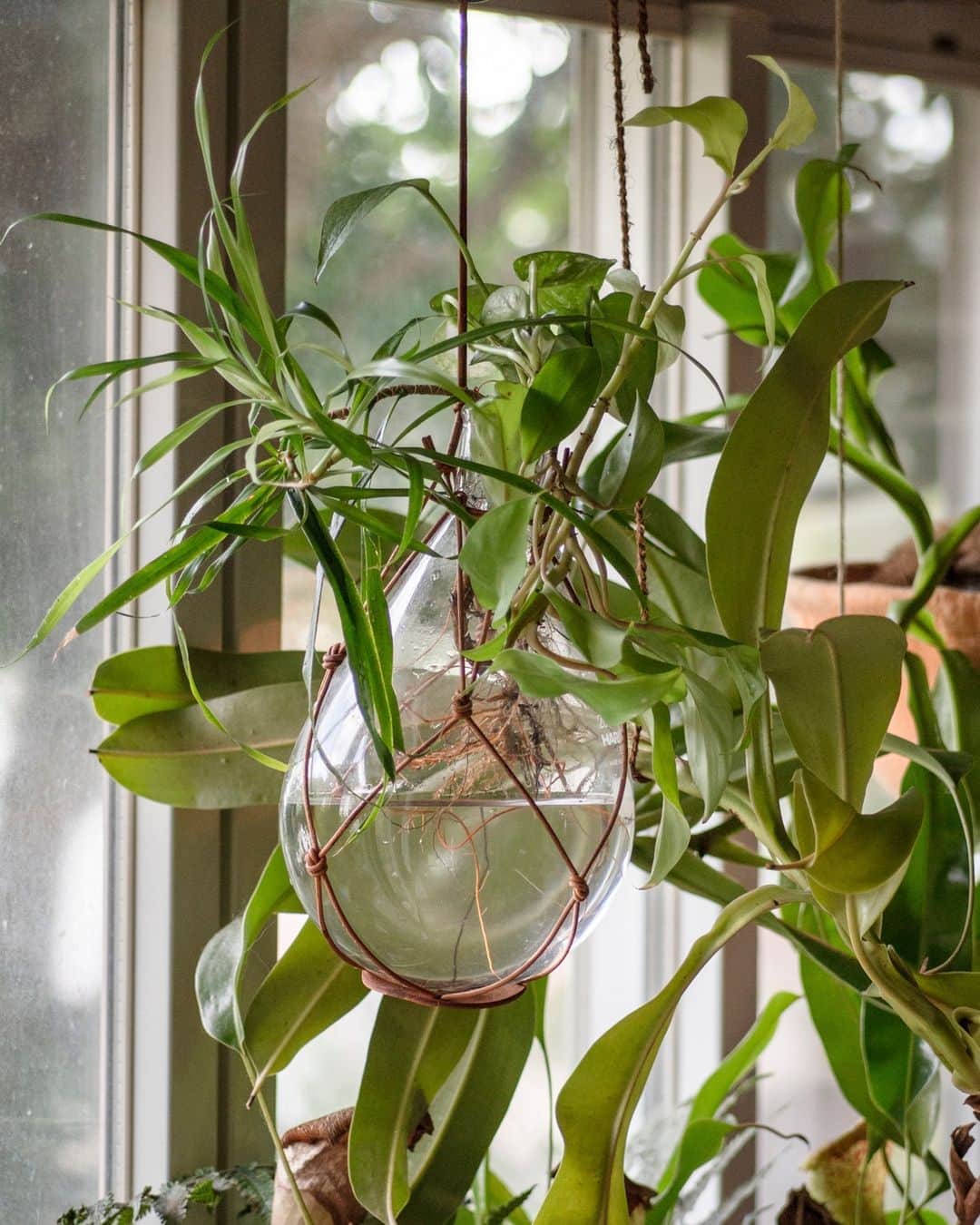 エンダースキーマのインスタグラム：「“fieldwork”  fieldwork 28 product: Kjeldahl flask  “fieldwork” is a survey of the place and space where Hender Scheme’s products are used. Research on how they are used in various situations.  #fieldwork #henderscheme」