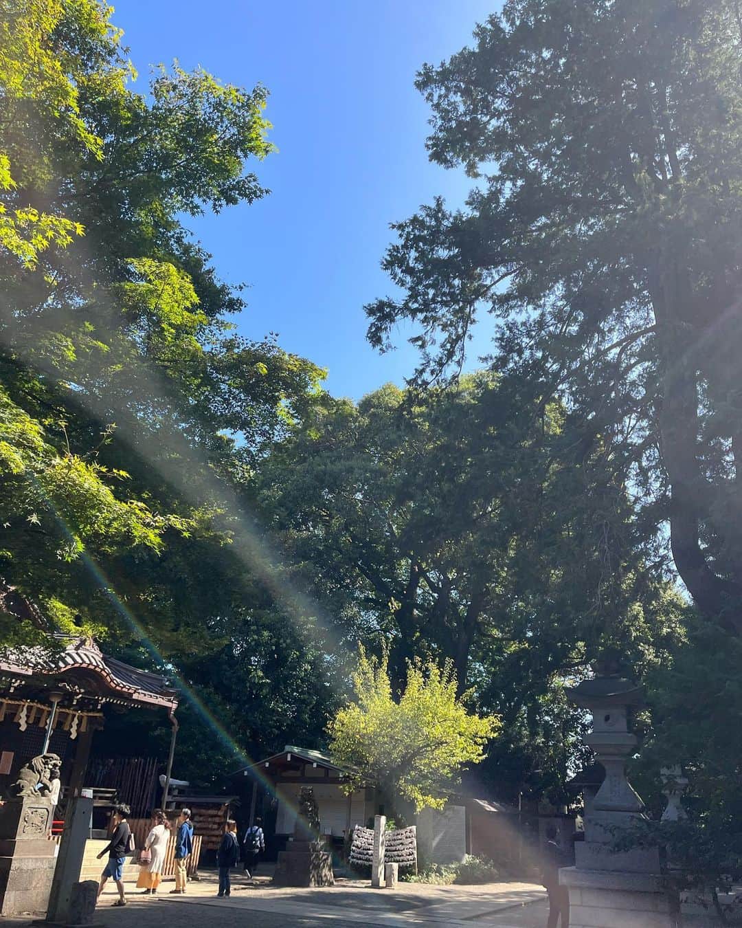 山口もえさんのインスタグラム写真 - (山口もえInstagram)「・  #近藤千尋 ちゃんと♡ 朝から美味しいパンとコーヒー持って こども達公園で遊んで神社へお詣りに♡ 「もえさん、光がやばい！」って いっぱい写真とってくれた。笑 ありがと！！  #朝活 #神社  #朝の光」10月7日 11時19分 - moe_yamaguchi0611