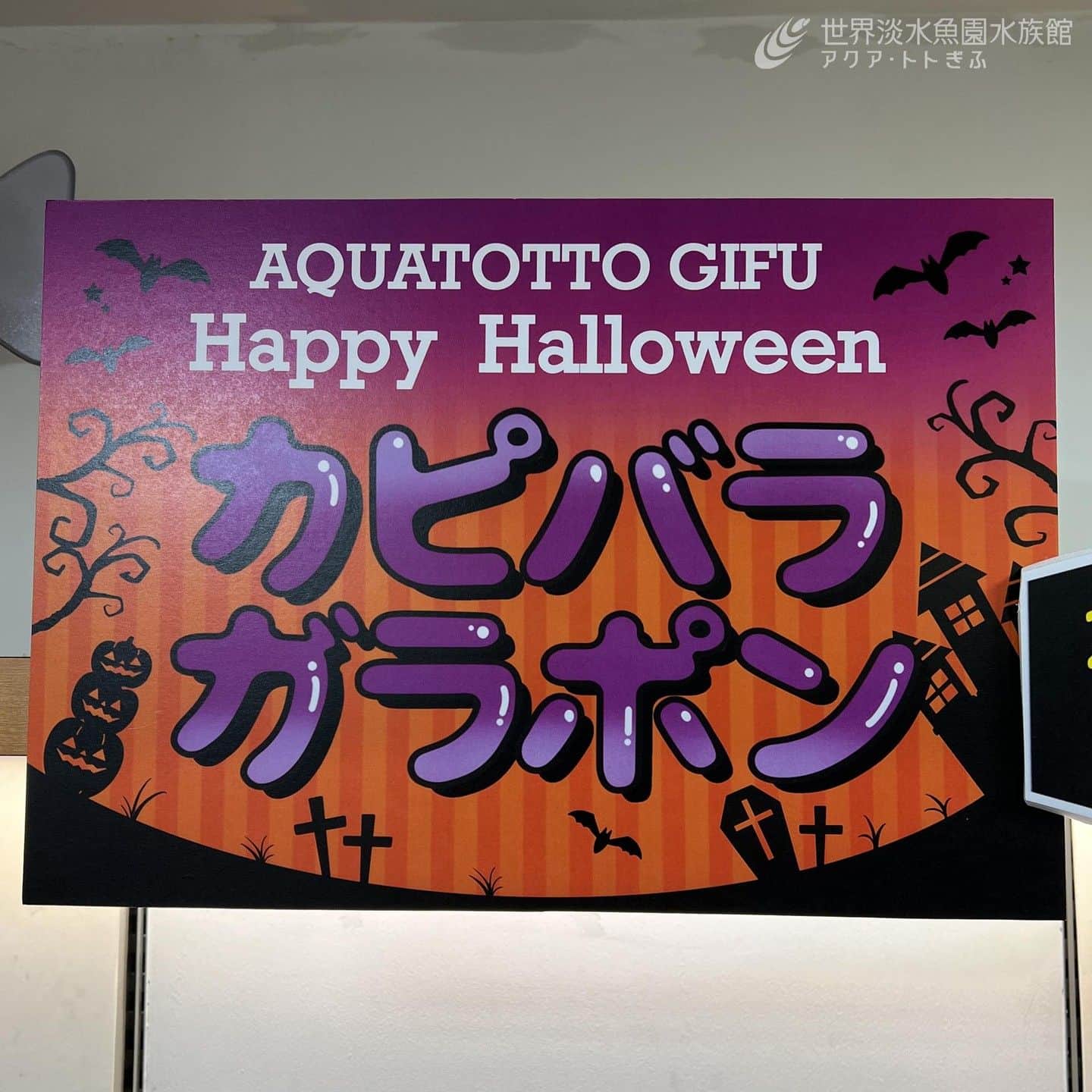 世界淡水魚園水族館 アクア・トト ぎふのインスタグラム：「10月31日（火）まで、ハロウィンのカピバラガラポンくじを開催！  ショップ「フィッシュタンク」で2000円以上お買い上げごとに、くじを１回まわせます。  ぬいぐるみやお菓子、マグネットなどが当たりますので、ぜひ挑戦してみてください。  ※数量限定、賞品内容は変更の場合あり  #アクアトト #水族館 #aquarium #秋 #ハロウィン #おばけ #カボチャ #仮装 #オアシスパーク #河川環境楽園」