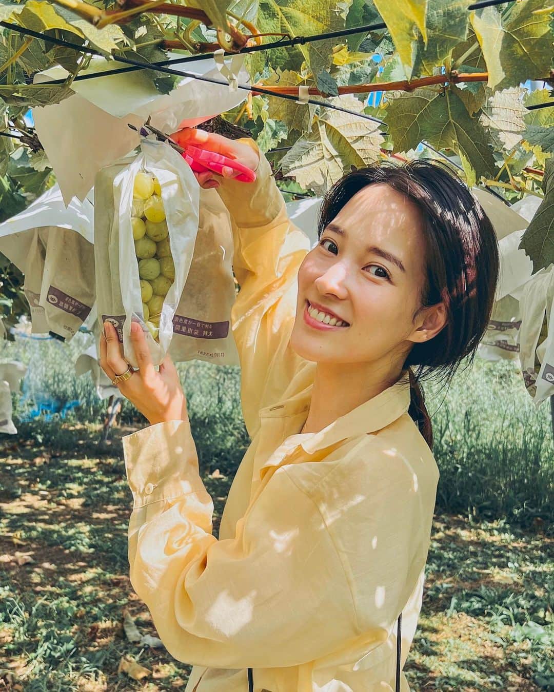 奈津子さんのインスタグラム写真 - (奈津子Instagram)「初めてぶどう狩りへ。採れたての🍇は後味がハチミツみたいに濃厚で舌へのインパクトが大でした…！子も満足できたようで母ちゃんは嬉しい。ちなみにマスカットは黄みが強いほうが甘いらしいです。  2枚目は動画だよ(音なし)☺️  #家電 #家電好き #家電女優 #奈津子 #子連れ #子連れお出かけ #フルーツ狩り  #ぶどう狩り #🍇 #マスカット #おでかけ」10月7日 11時48分 - natsuko_kaden