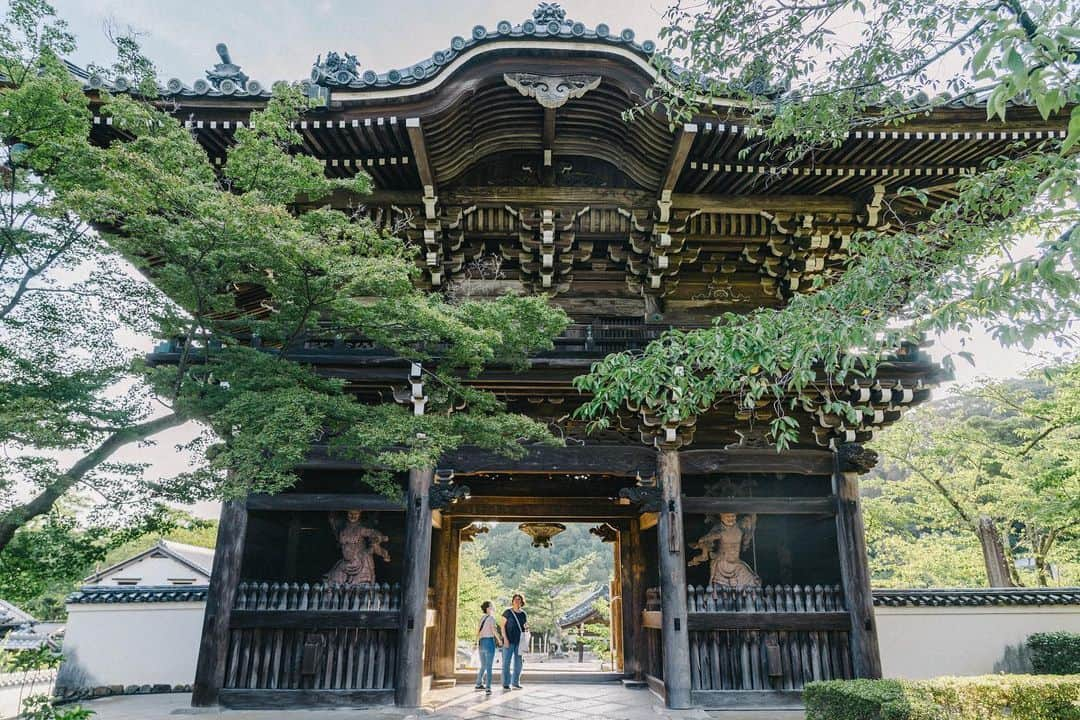 Yuichi Nataのインスタグラム：「・ ・ 粉川寺 出張の橋本はお祭りやってるみたいでドンドコ太鼓がなっている 子供神輿可愛い ・ ・ #こんな毎日をありがとう」