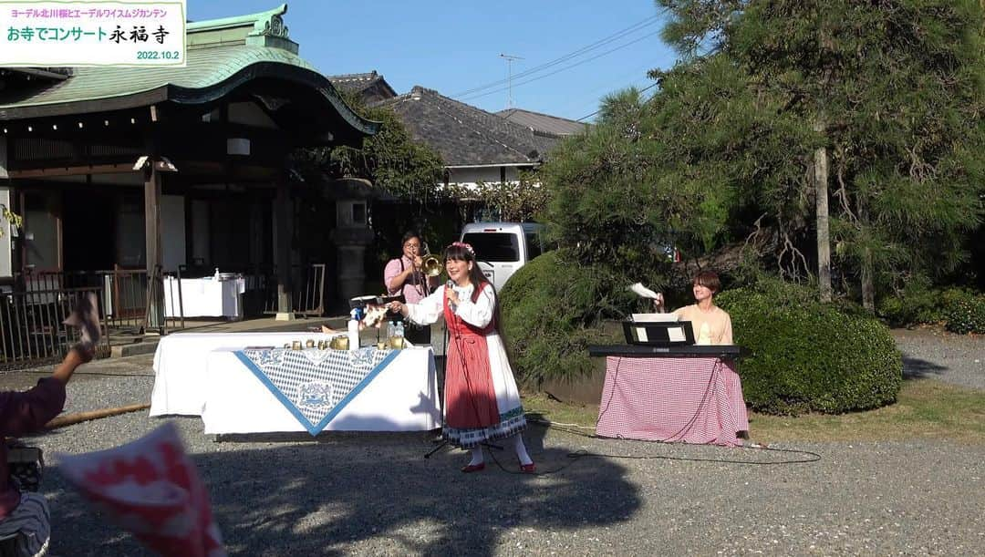 北川桜のインスタグラム：「お寺で聴くヨーデル⁉︎😳  今月22日は 500年続く杉並のお寺"永福寺"で 今年ツークヨーデルフェストで1級最高級を習得した #北川桜 の本格ヨーデルをお届けします♪ 速いだけじゃない、情景を想いながら聴くしっとりしたヨーデルもお楽しみに🍂  詳細 https://netgekijou.amebaownd.com/posts/46963704/  10/22日14時~ 東京 万歳山 永福寺(杉並区永福1-25-2) ※車いす,盲導犬,聴導犬,介護犬入れます 簡単日本語+3か国語同時翻訳字幕有り  チケット リアル公演¥3300 90歳以上の方¥5 アーカイブ¥3300 アーカイブDVD予約販売もします！ ※9/29料金改定 ※障害のある方 特別プラン有り、ご連絡ください  #ヨーデル #お寺 #永福町 #ドイツ #スイス #オーストリア #アルプス #アルプス音楽 #アルプホルン #姉妹都市 #国際交流」