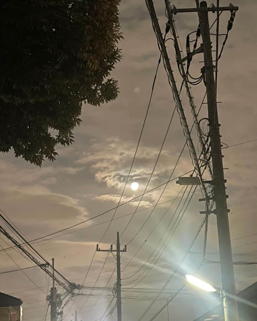 菅野梓さんのインスタグラム写真 - (菅野梓Instagram)「満月の日、夜散歩🌕」10月7日 19時04分 - azusa__029