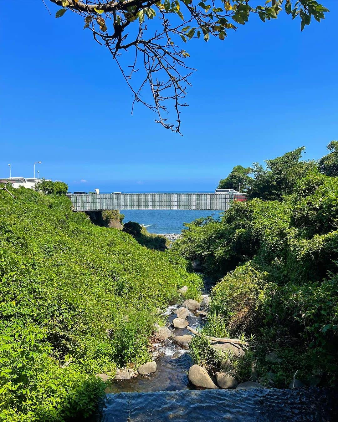 野崎萌香さんのインスタグラム写真 - (野崎萌香Instagram)「WHITE HOUSE Atami🌞🌱  仲良しとサウナ旅🧖‍♀️  今年の夏は日本の夏を沢山感じられた🫶  @enabler.fun」10月7日 13時52分 - moeka_nozaki