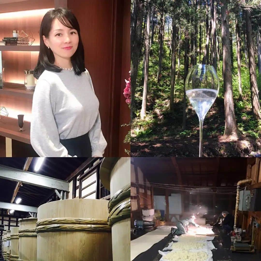 近藤淳子さんのインスタグラム写真 - (近藤淳子Instagram)「本日サケ・エキスパート試験対策講座、前半の4時間無事終了🎤  今回はオンラインで約15名の酒販店の皆様や大学生が受講してくださいました。ワインは詳しいが日本酒の深みも知りたい、時代に合わせて専門的に日本酒の学び直しをしたい、お客様と共感しながら日本酒を伝導したいなど、さまざまな受講理由です。  いつも講師としてお届けするたびに、多くの学びをいただきます。インプットや取材を重ね、吟味して、後半4時間も頑張ります✨  #サケエキスパート  #國酒から国際酒へ  #日本酒セミナー #ジャパンサケアソシエーション  @jsa.japan」10月7日 14時04分 - kondo_junko_