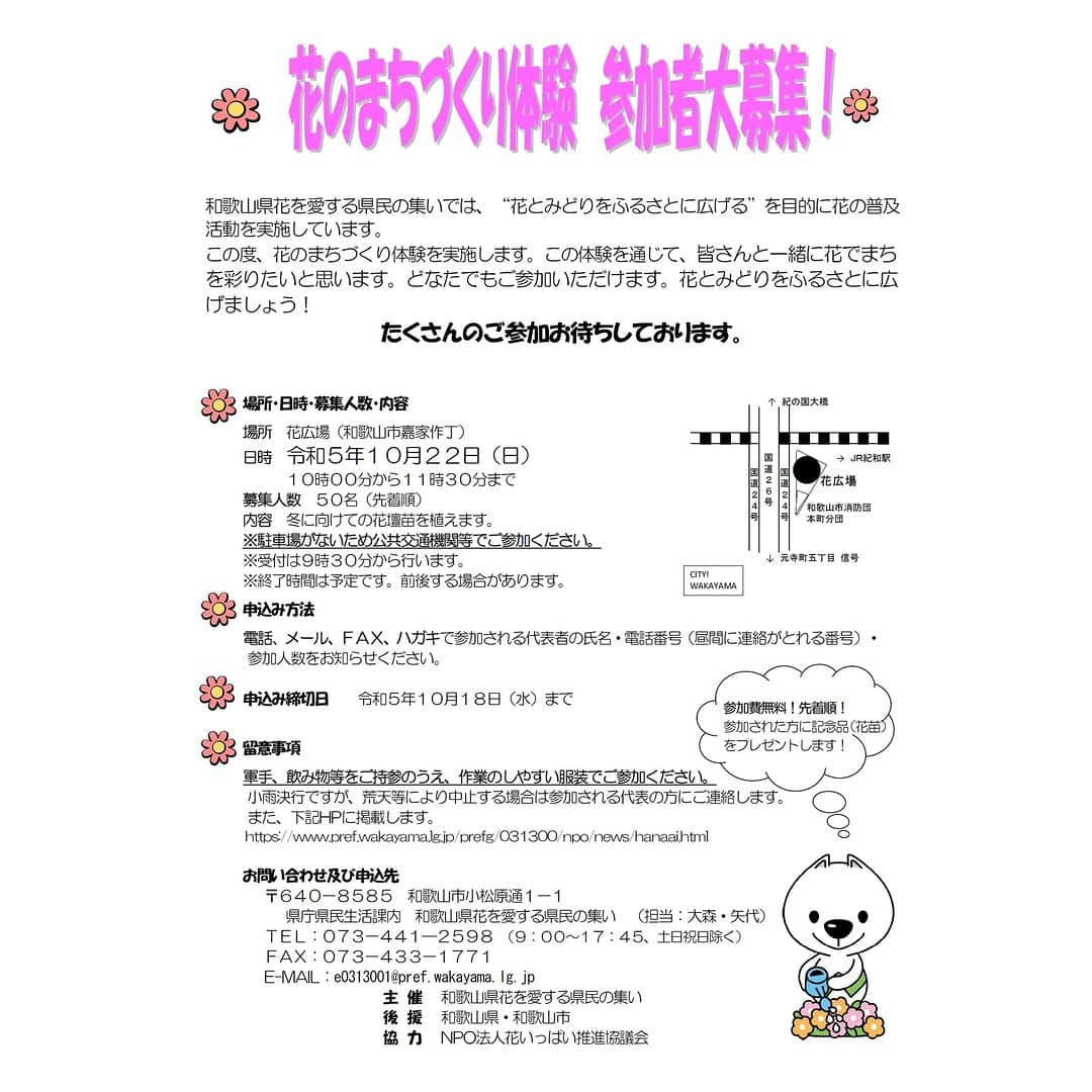 きいちゃんのインスタグラム：「. 花のまちづくり体験参加者大募集！  和歌山県花を愛する県民の集いでは、“花とみどりをふるさとに広げる”を目的に花の普及活動を実施しています。 この度、花のまちづくり体験を実施します。この体験を通じて、皆さんと一緒に花でまちを彩りたいと思います。  どなたでもご参加いただけます。花とみどりをふるさとに広げましょう！ 参加された方に花苗のプレゼントもあります。たくさんのご参加をお待ちしております。  開催日時：令和5年10月22日（日）10時～11時30分 場所：花広場（和歌山市嘉家作丁） 申込締切：10月18日（水） ▽お問い合わせは、下記URLから▽ https://www.pref.wakayama.lg.jp/prefg/031300/npo/news/hanaai.html  #和歌山県  #和歌山 #花を愛する県民の集い #花のまちづくり体験 #花」