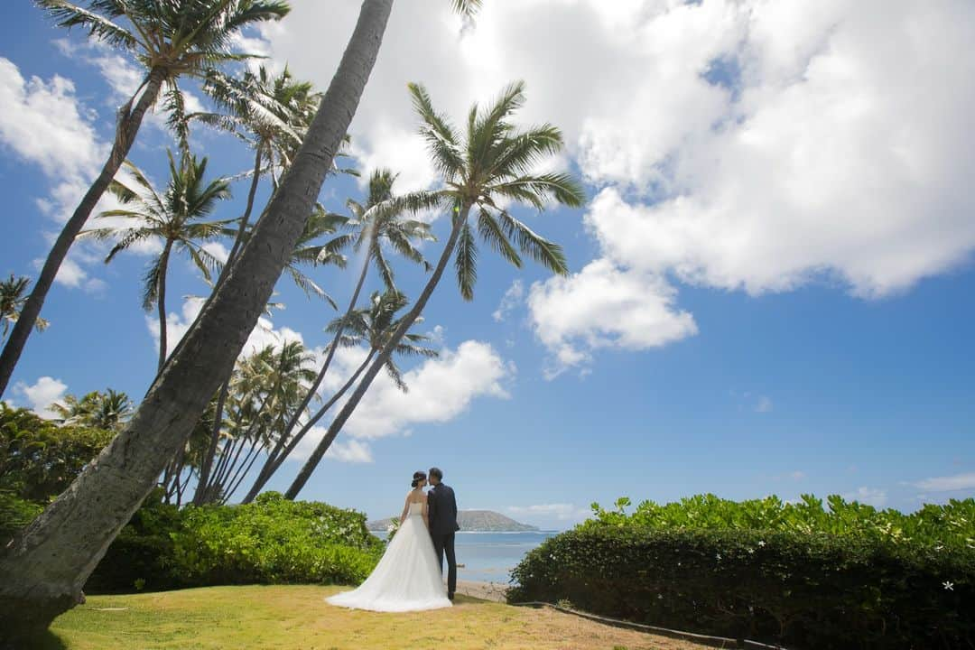 RealWeddingsさんのインスタグラム写真 - (RealWeddingsInstagram)「オアフ島で唯一海が見えるキャルバリー・バイ・ザ・シー教会。 (2023.6.7)  ◆ハワイウエディング相談会空き状況※空き状況は随時変動いたします。直近のご案内も可能な日程もございますので、お気軽にお問い合わせ下さいませ。  10/14(土):14:00 / 17:00 10/15(日):満席 10/21(土): 11:00 /14:00/17:00  ◆ホームページよりお問い合わせの場合はこちら https://www.realweddings.jp/reservation/  #ハワイ挙式#ハワイウェディング#ハワイ婚#リゾ婚#ハワイフォト #ハワイウエディングプランナー #海外挙式#2023秋婚 #2024年春婚#結婚式準備#モアナサーフライダーウェスティンリゾート #キャルバリーバイザシー教会 #hawaii#hawaiiwedding#hawaiiweddingplanner#realweddings_hawaii#moanasurfrider #moanasurfriderwedding #calvarybythesealutheranchurch」10月7日 14時32分 - realweddings_hawaii