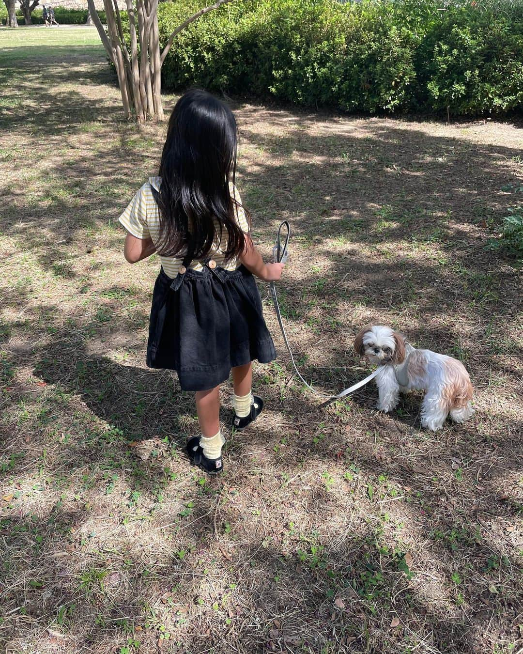 いりこさんのインスタグラム写真 - (いりこInstagram)「最近の2人👧🏻🐶  2枚目はなでながら読み聞かせ📕 4枚目はいりこに日陰をつくってあげているところ☀️」10月7日 14時42分 - hana_uoj