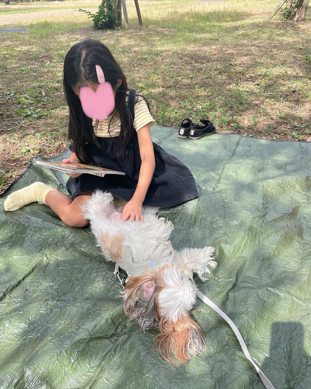 いりこさんのインスタグラム写真 - (いりこInstagram)「最近の2人👧🏻🐶  2枚目はなでながら読み聞かせ📕 4枚目はいりこに日陰をつくってあげているところ☀️」10月7日 14時42分 - hana_uoj