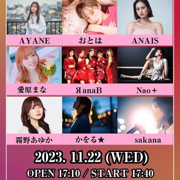ペレアナイスのインスタグラム：「LIVE告知  A-Russian vol.77 #えーらしあん   【日程】11月22日(Wed) 【会場】西永福JAM 【開場】17:10 【開演】17:40 【料金】 ・前売り3500+1D ・配信　2500 (2週間みれます)  【チケット】 https://tiget.net/events/275488 ※入場予約番号順  【配信】アーカイブ2週間 https://twitcasting.tv/nishieifukujam/shopcart/265766  配信もあるから地方の方もぜひ見てね🥰🫶 質問等はdmまで🙆‍♀️」