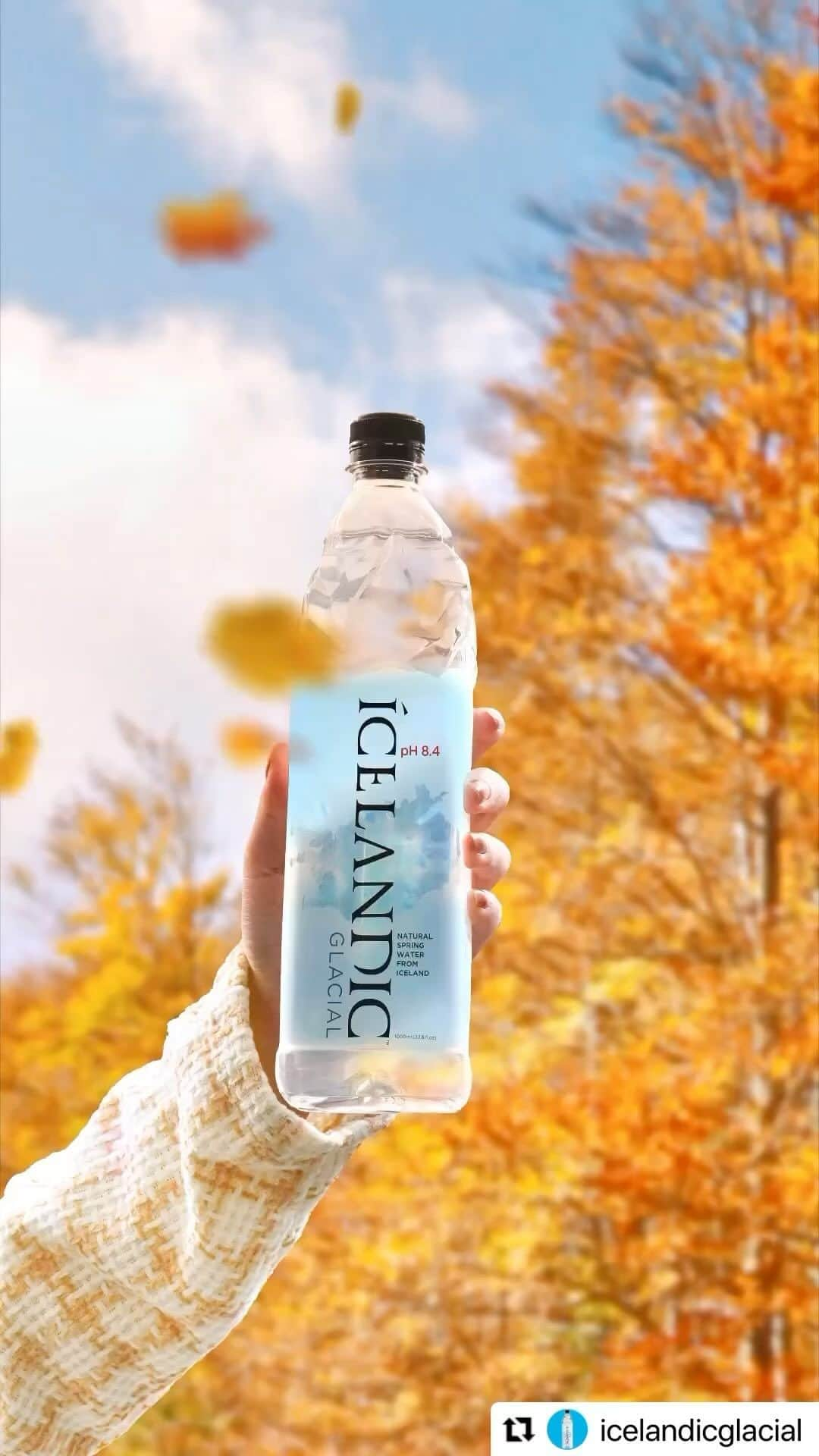 FIJIWaterJapanのインスタグラム：「日中も涼しくなり過ごしやすい気温になってきました🍂乾燥もしやすくなってきたので@icelandicglacialjp を片手に水分補給を忘れずに！！ #icelandicglacial #water #iceland #thepuresttastingwateronearth #アイスランド　#アルカリ水 #mineralwater  #natural  #ミネラルウォーター #自然　#水分補給　#習慣　#hydrate #dontforgettohydrate #workout #ワークアウト　#運動　#外　#散歩　#手持ち　#sunday #休日　#週末　#weekend #noadditives #無添加　#サステナブル　#リサイクル　#ピュア　#秋」