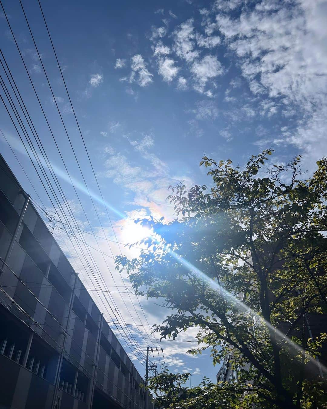 山川 二千翔のインスタグラム：「🌿」