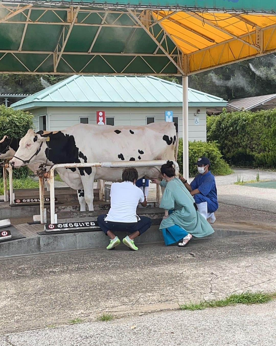 野々村友紀子さんのインスタグラム写真 - (野々村友紀子Instagram)「いやちょっと待って、、何これ‼️こんなんただの不倫旅行の写真やん！！  みなさん落ち着いて見てください。 お相手はスリムクラブ真栄田くんです。  実はこれ、 『性格が正反対の2人』が旅をするとどうなるか、というロケで、せっかちで色々決めて旅したい私と正反対の、のんびり無計画な真栄田くんが房総半島にドライブして一日中ほぼ2人きりで行動した時の様子なんです。  遠目からの写真ばかりでいい感じに仕上がってますね。私的にはマグロの寿司を持ってなんか薄っすら怒ってるわけわからん写真が好きです。  しかも見て。  こんな二度見するような見出しでYahoo! ニュースにまでなってるやん😆😆😆 ↓ 【野々村友紀子に真栄田賢が“不倫相談”「ずっとそばにいたい」衝撃のドライブ2人旅】  こんなん絶対見たいですよね？  見てください！ この見出しの意味がわかるはず😅  明日、10月8日（日）16:25〜 ABCテレビ放送 【あなたはどっち派？ 正反対さんの真逆旅】です。  私と真栄田くんの旅のVTRを、スタジオで東野幸治さんと見取り図が見てくれたそうですが、、どんな感じやったんやろ！？  放送地域外の皆様もTVerで探してみてー！ 私も探す！！  衣装はこちら↓ シャツワンピ　@lemelange_official  パンツ　@diagramofficial  ピアス&リング　@abiste_official」10月7日 15時27分 - nonomura_yukiko