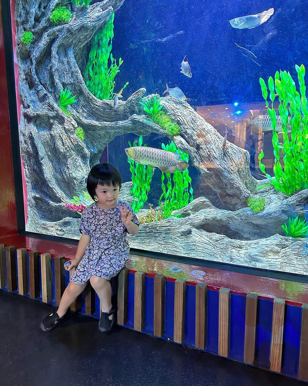 河内勇太さんのインスタグラム写真 - (河内勇太Instagram)「新しくできたLotte Mallの水族館で娘とデート。 家から自転車で行ける距離にできたので、毎週通ってます😆 いつまで一緒に遊んでくれるのかな。  #ベトナム #ハノイ  #ベトナム生活 #ハノイ生活  #vietnamlife  #hanoi」10月7日 15時39分 - yutakkk