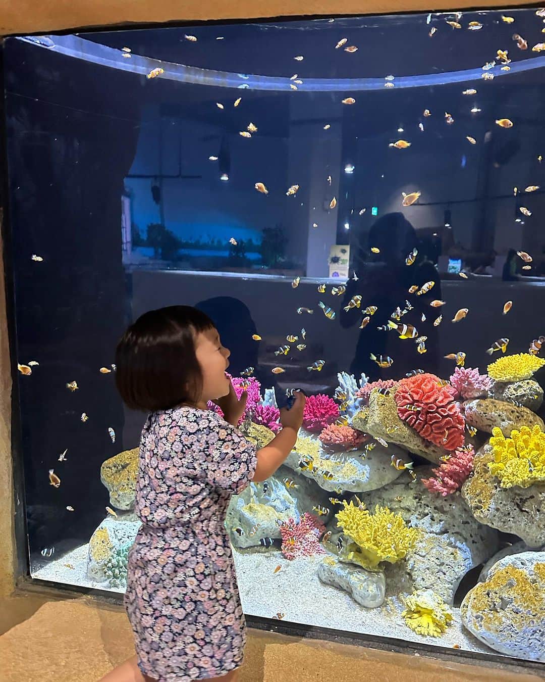 河内勇太さんのインスタグラム写真 - (河内勇太Instagram)「新しくできたLotte Mallの水族館で娘とデート。 家から自転車で行ける距離にできたので、毎週通ってます😆 いつまで一緒に遊んでくれるのかな。  #ベトナム #ハノイ  #ベトナム生活 #ハノイ生活  #vietnamlife  #hanoi」10月7日 15時39分 - yutakkk