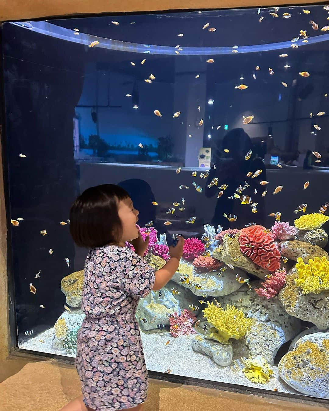 河内勇太さんのインスタグラム写真 - (河内勇太Instagram)「新しくできたLotte Mallの水族館で娘とデート。 家から自転車で行ける距離にできたので、毎週通ってます😆 いつまで一緒に遊んでくれるのかな。  #ベトナム #ハノイ  #ベトナム生活 #ハノイ生活  #vietnamlife  #hanoi」10月7日 15時39分 - yutakkk