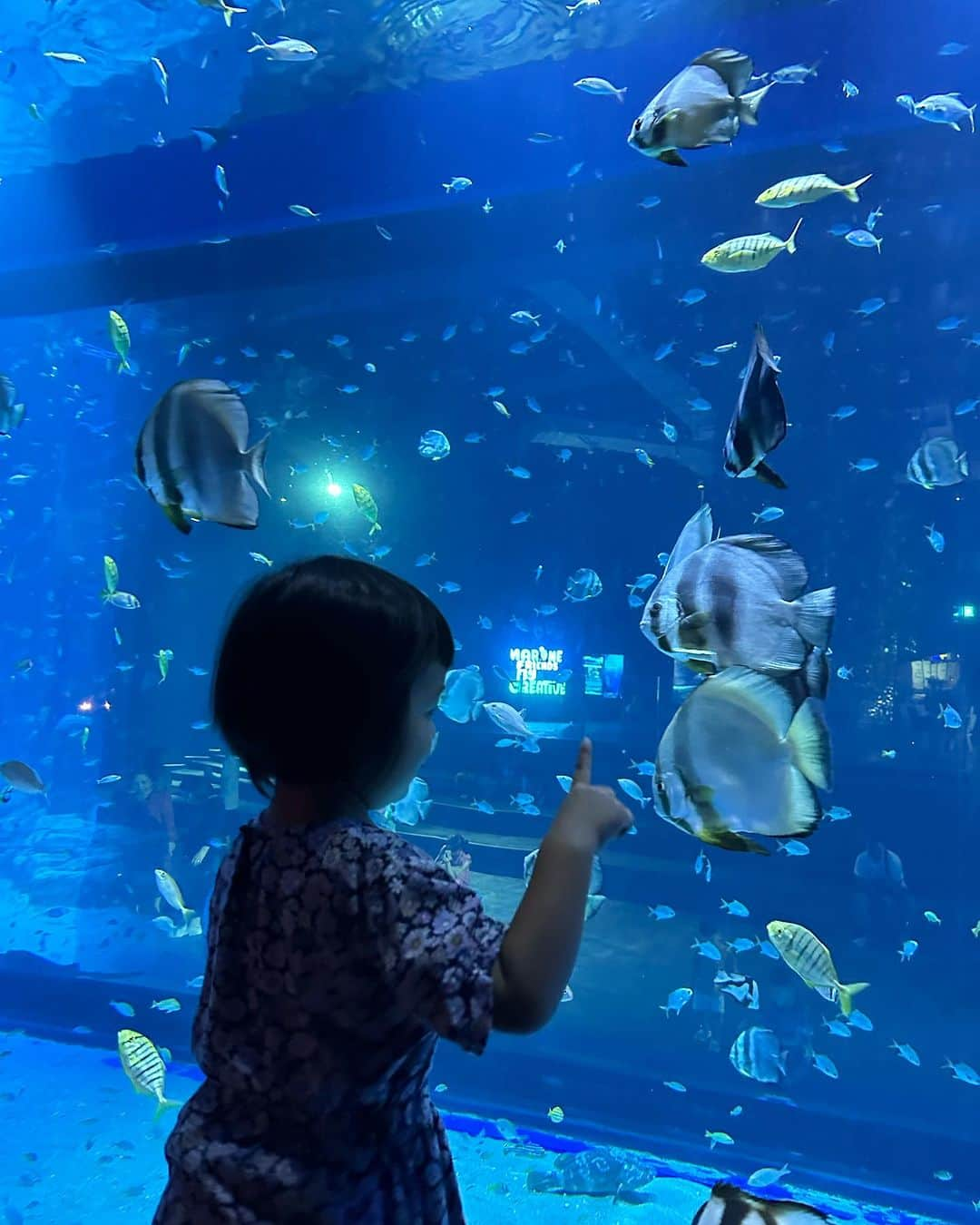 河内勇太さんのインスタグラム写真 - (河内勇太Instagram)「新しくできたLotte Mallの水族館で娘とデート。 家から自転車で行ける距離にできたので、毎週通ってます😆 いつまで一緒に遊んでくれるのかな。  #ベトナム #ハノイ  #ベトナム生活 #ハノイ生活  #vietnamlife  #hanoi」10月7日 15時39分 - yutakkk