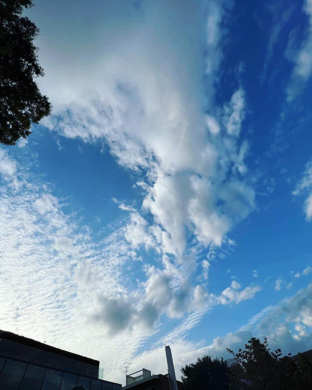 廣瀬規子のインスタグラム：「秋の空が好きです❣️  空気が澄んでて、空が広く見えて、なんだか、地球に住んでるんだって感じるから🙈  📸お嬢さんは、パパに『ワッ』って驚かされて、、泣いています💦 、、いつもは自分がやって、怒られてる側なのに😅😅😅  これでもうやらなくなるかな？？🤔😅  さぁ、心地よく生きるためにはどうする⁉️ 答えはいつも自分の中にある。 自分がどう生きたいか。それを決めたら、その自分になるために動くだけ。 躓いても、転んでも、恥かいても何しても、何度でも立ち上がって前に進んでいくだけ‼️  秋の空が改めて教えてくれた気がする🙈🥹😆✊💕  #秋の空 #秋の空が教えてくれた事 #久しぶりの #つぶやき規子 #すぐつぶやきたくなる病 #でも久しぶり」