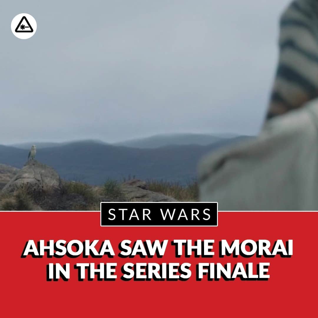 クリス・ハードウィックのインスタグラム：「That winged creature Ahsoka saw near the finale’s end looked exactly like Morai, the convor bird who was once Ahsoka’s companion. Morai also appeared on the shoulder of the Daughter in ancient paintings of the Mortis gods. And Morai helped guide Ezra and Ahsoka in and out of the World Between Worlds previously.⁠ ⁠ link in bio」