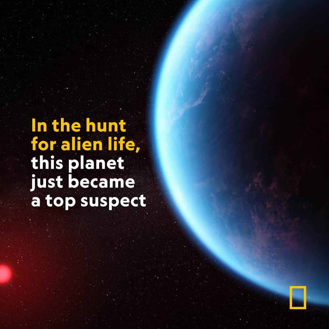 ナショナルジオグラフィックのインスタグラム：「Discover more at the link in bio.  The mixture of gasses measured in exoplanet K2-18 b suggests it may have a global ocean beneath a hydrogen-rich atmosphere—and astronomers even spotted a tantalizing, though unconfirmed, sign of life. #WorldSpaceWeek  Illustration by NASA, CSA, ESA, J. Olmsted (STScI), Science: N. Madhusudhan (Cambridge University)」